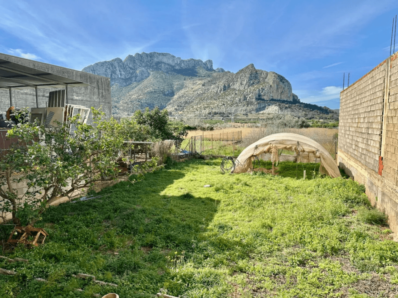 Opportunité : Immeuble avec Jardin de 180 m² et Toit-terrasse avec Vue sur la Mer