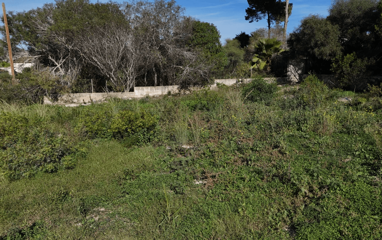 Terrain a Javea