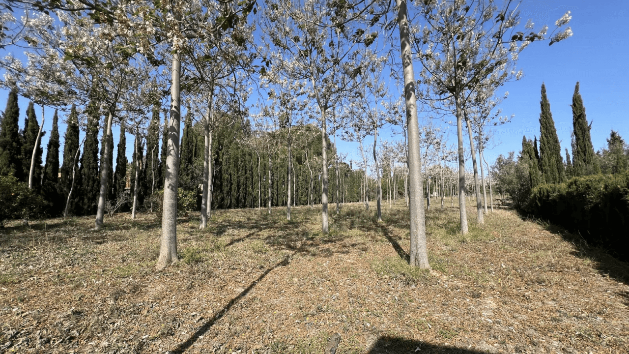 Entrepôt avec terrain de 12 000 m² et appartement
