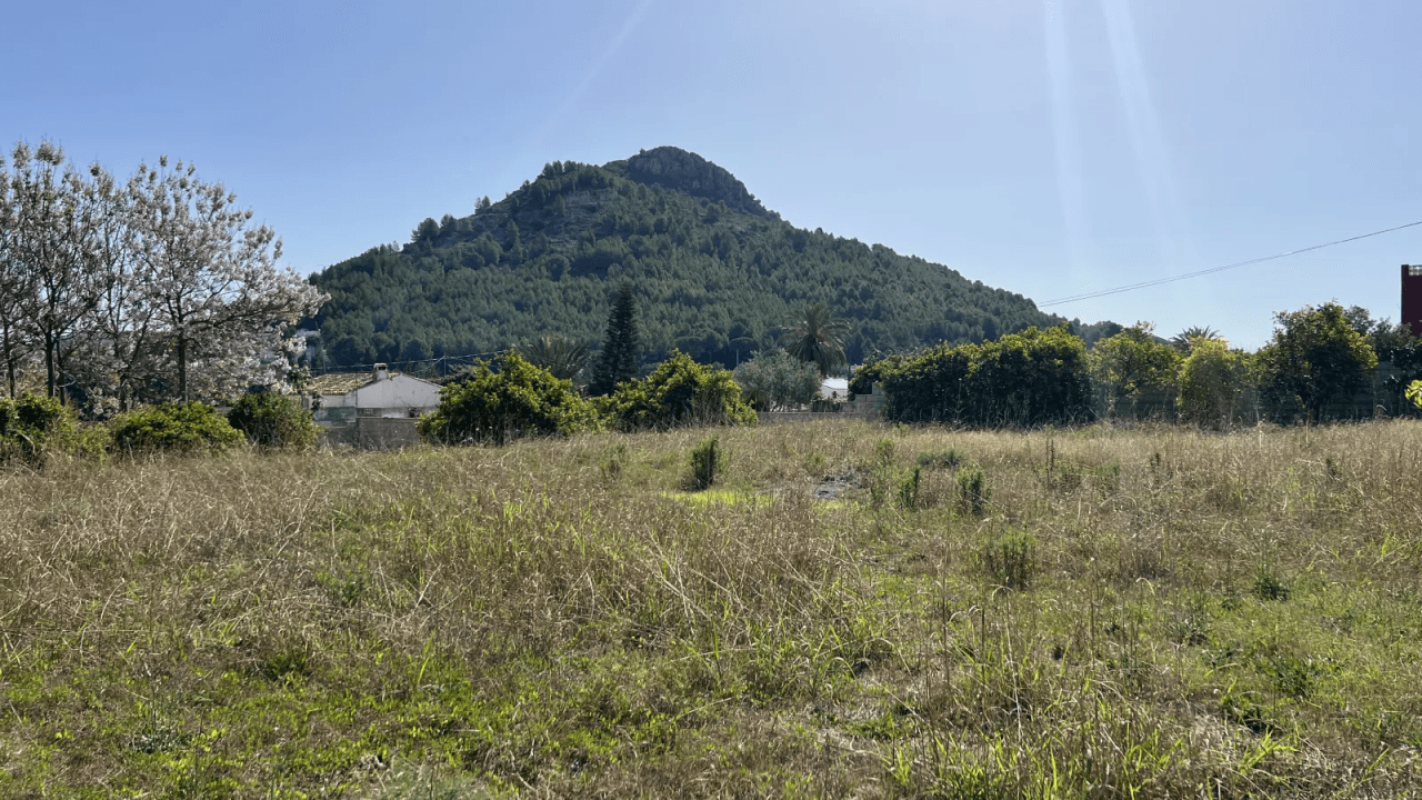 Entrepôt avec terrain de 12 000 m² et appartement