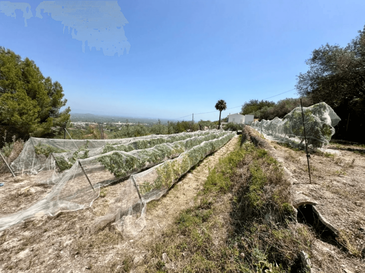 Finca rustique avec de belles vues à Pego