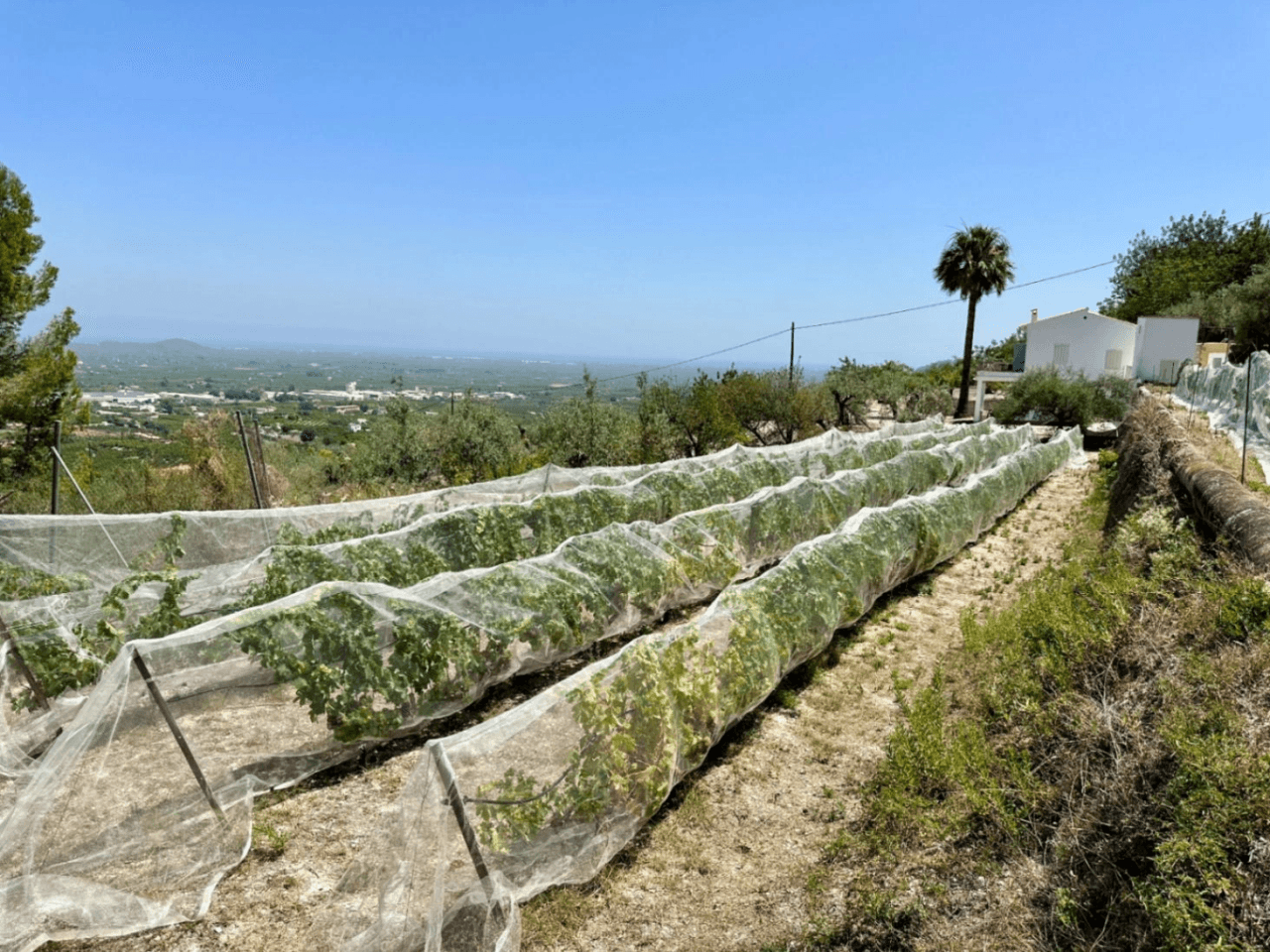 Finca rustique avec de belles vues à Pego