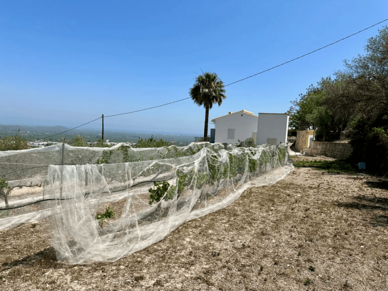 Finca rustique avec de belles vues à Pego