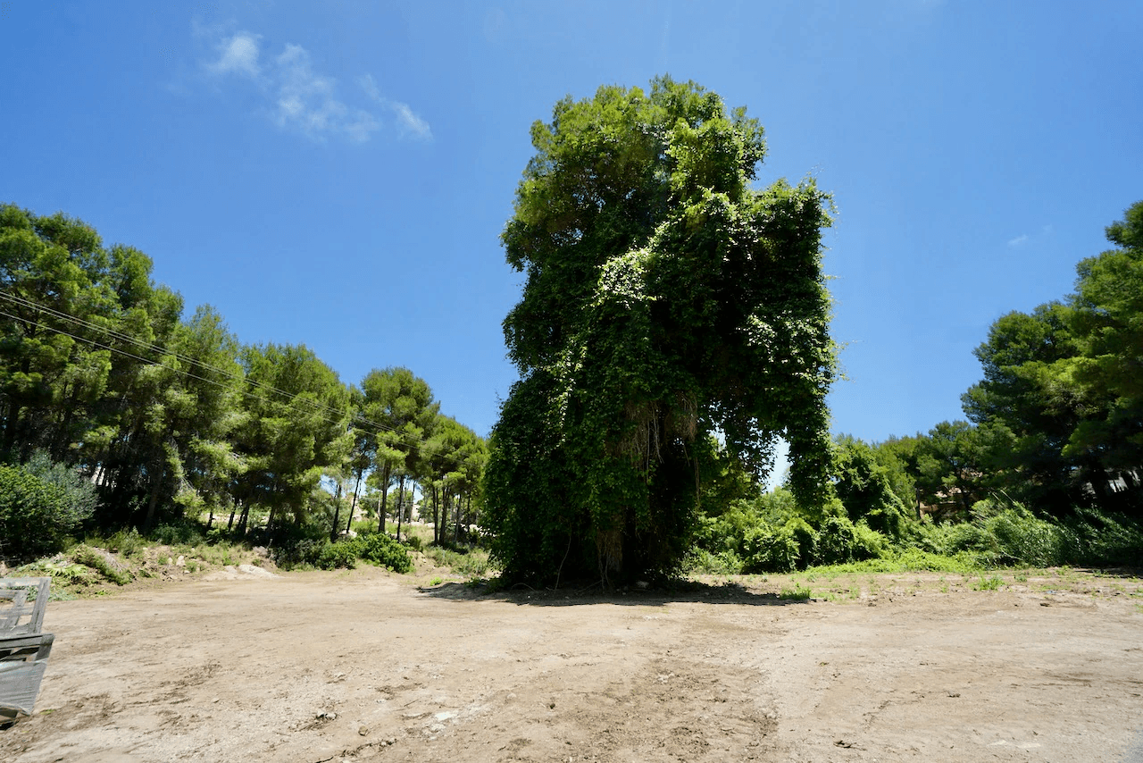 Plots of Land en venta en Moraira