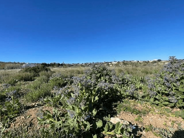 Plots of Land en venta en Teulada
