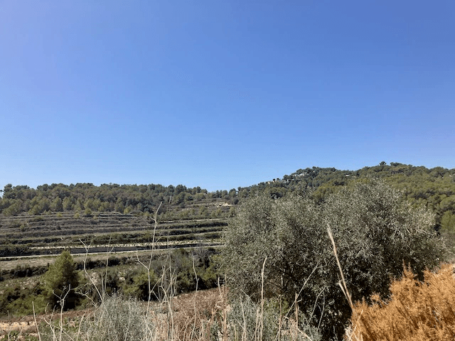 Plots of Land en venta en Teulada