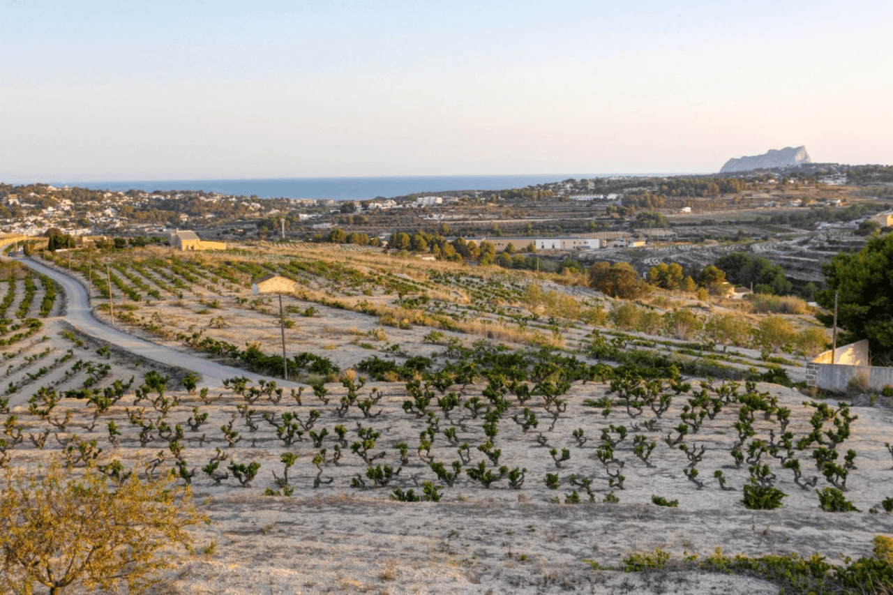 Country Houses - Fincas en venta en Moraira