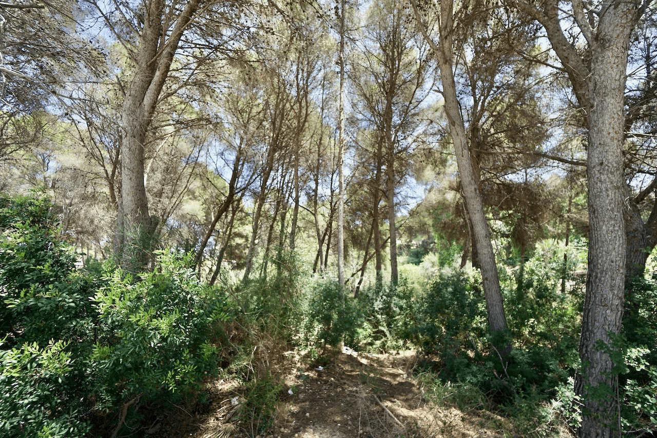 Plots of Land en venta en Moraira