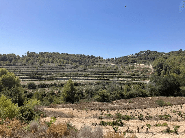 Plots of Land en venta en Teulada