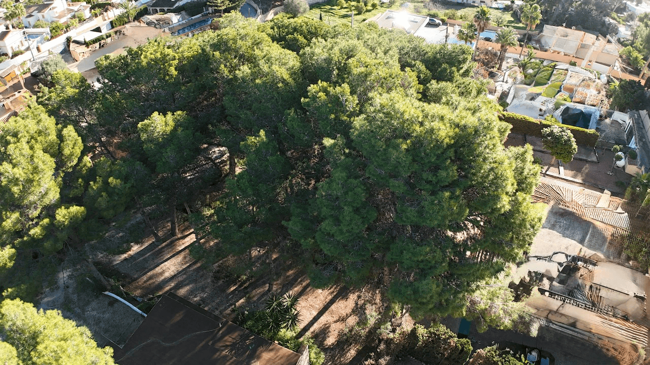 Plots of Land en venta en Moraira