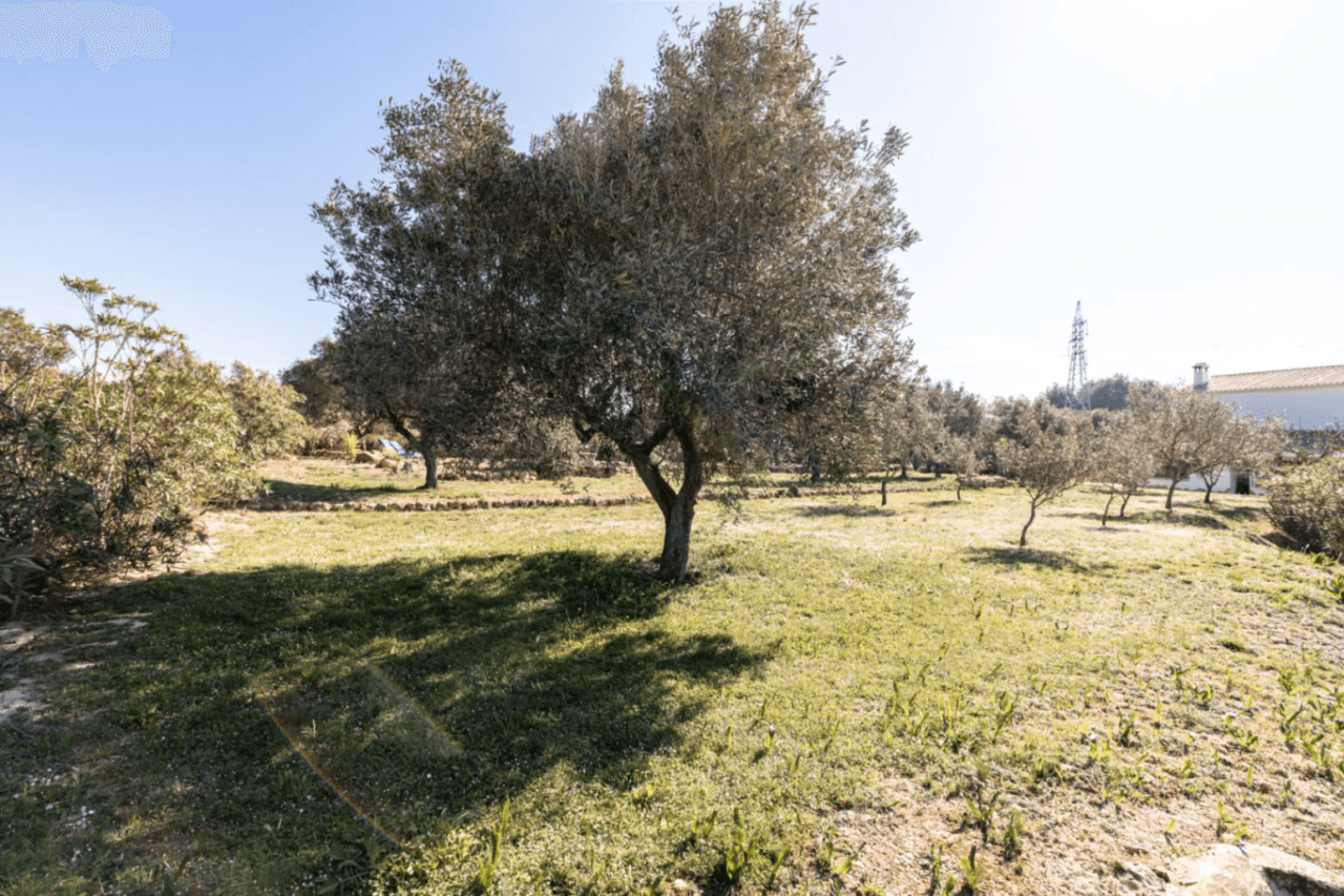 Country Houses - Fincas en venta en Teulada