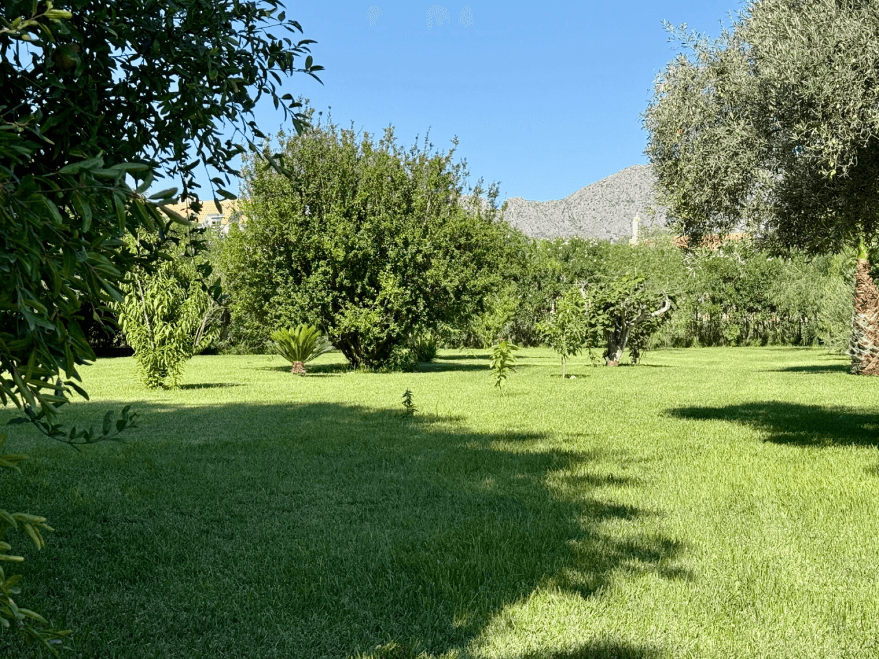 Villas zum verkauf in Denia