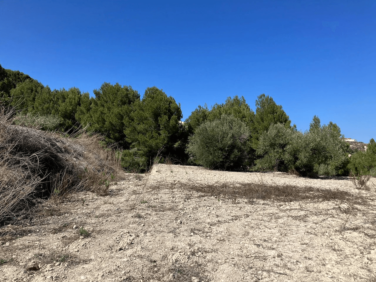 Plots of Land en venta en Benissa