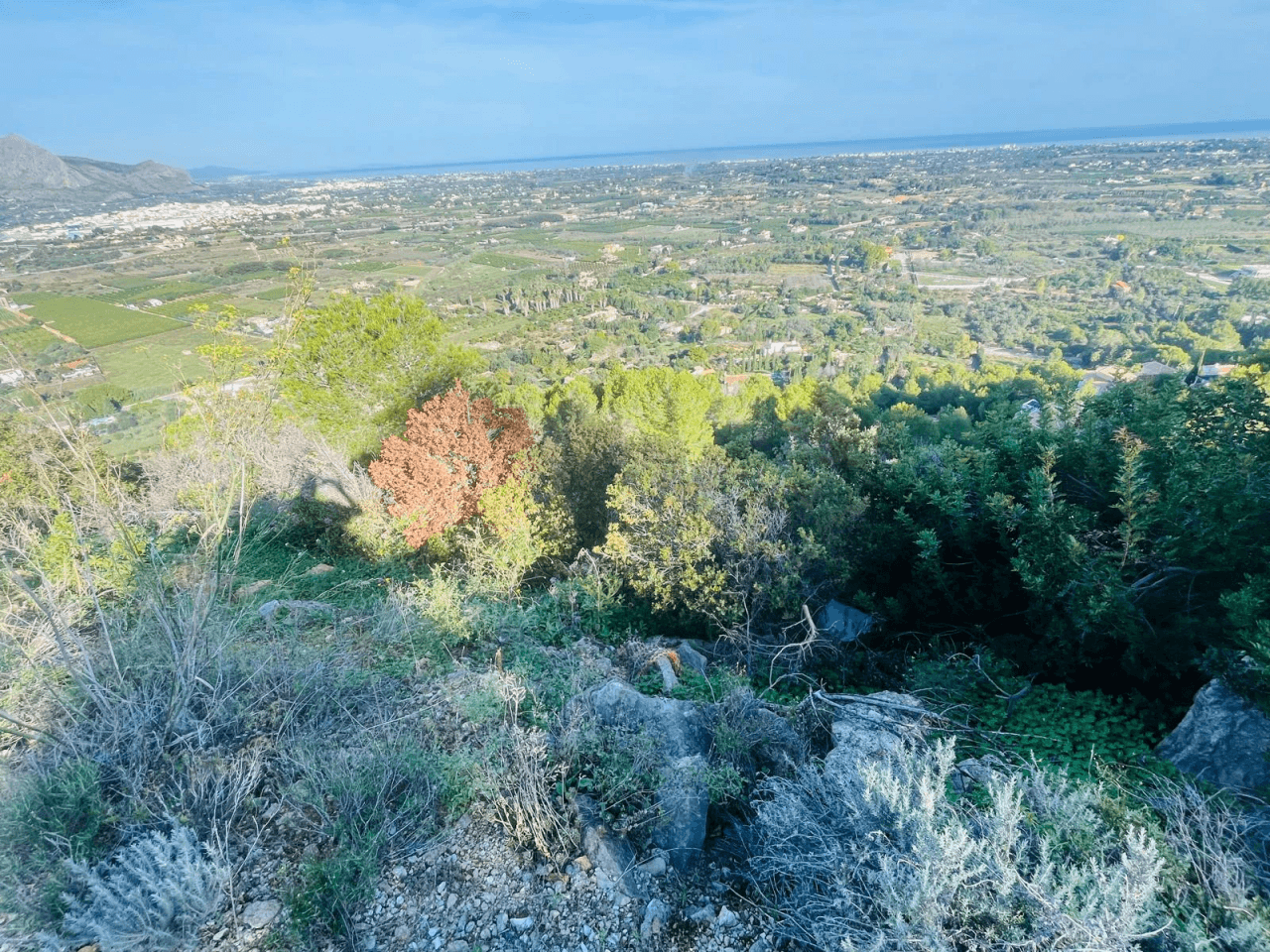 Plots of Land en venta en Pedreguer