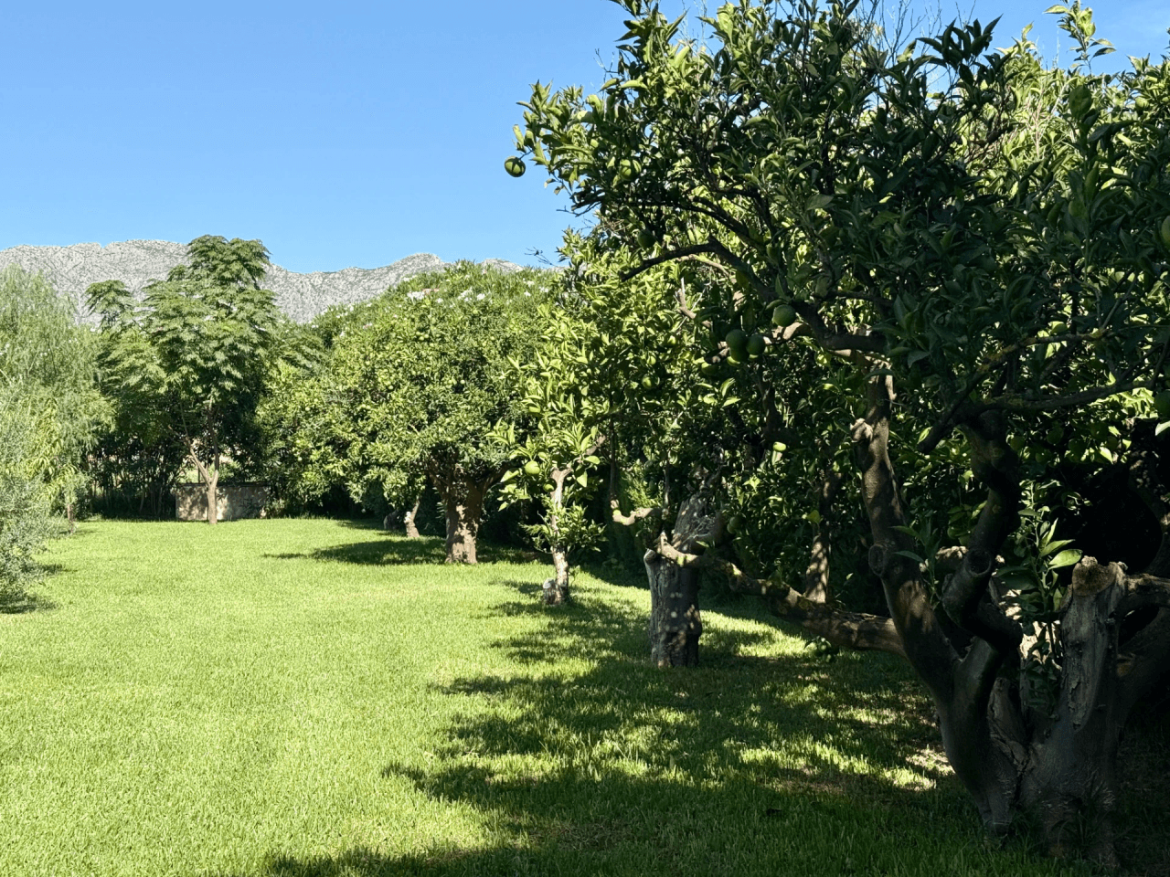 Villas zum verkauf in Denia