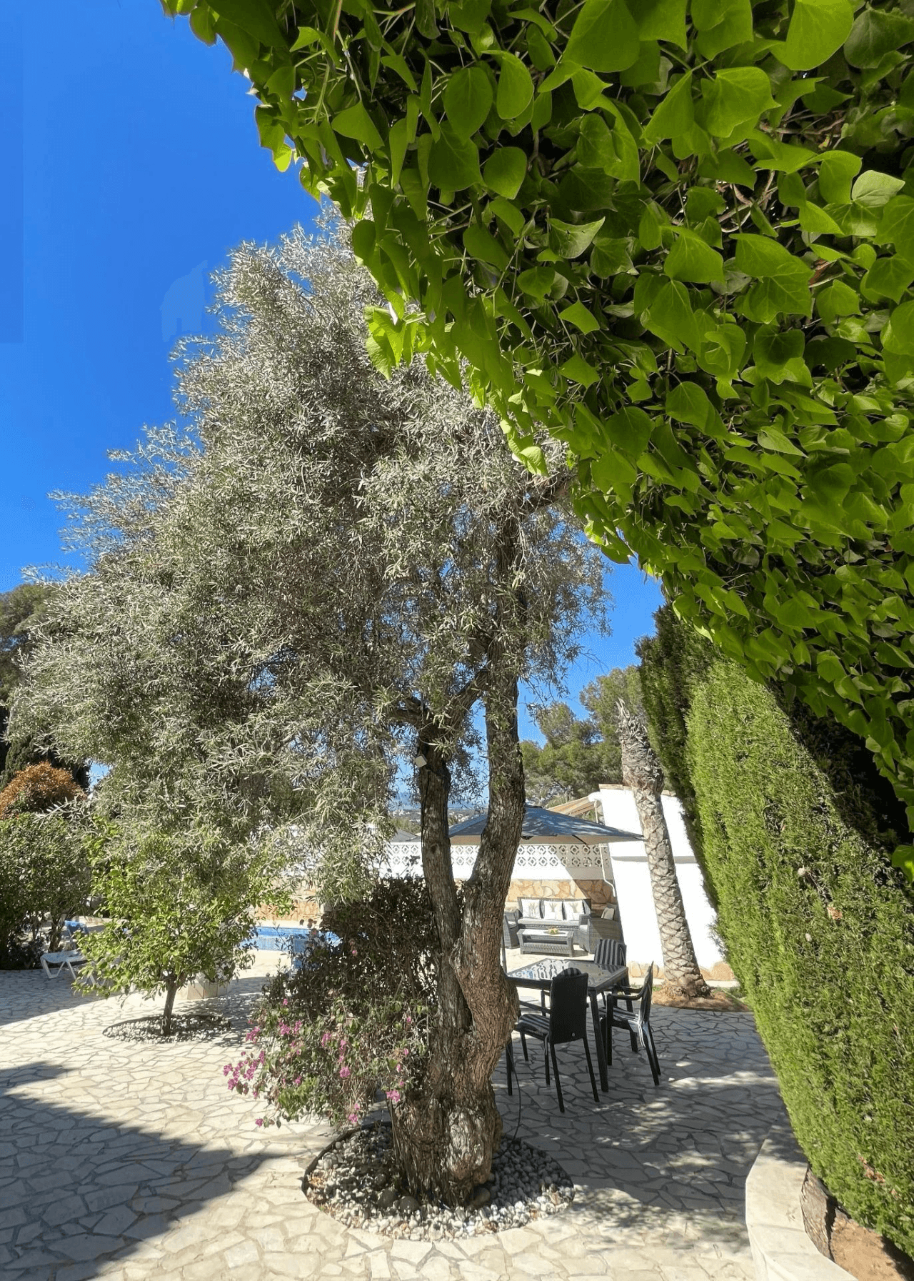 Villas en venta en Moraira