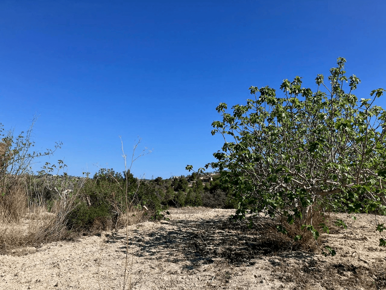Plots of Land en venta en Benissa