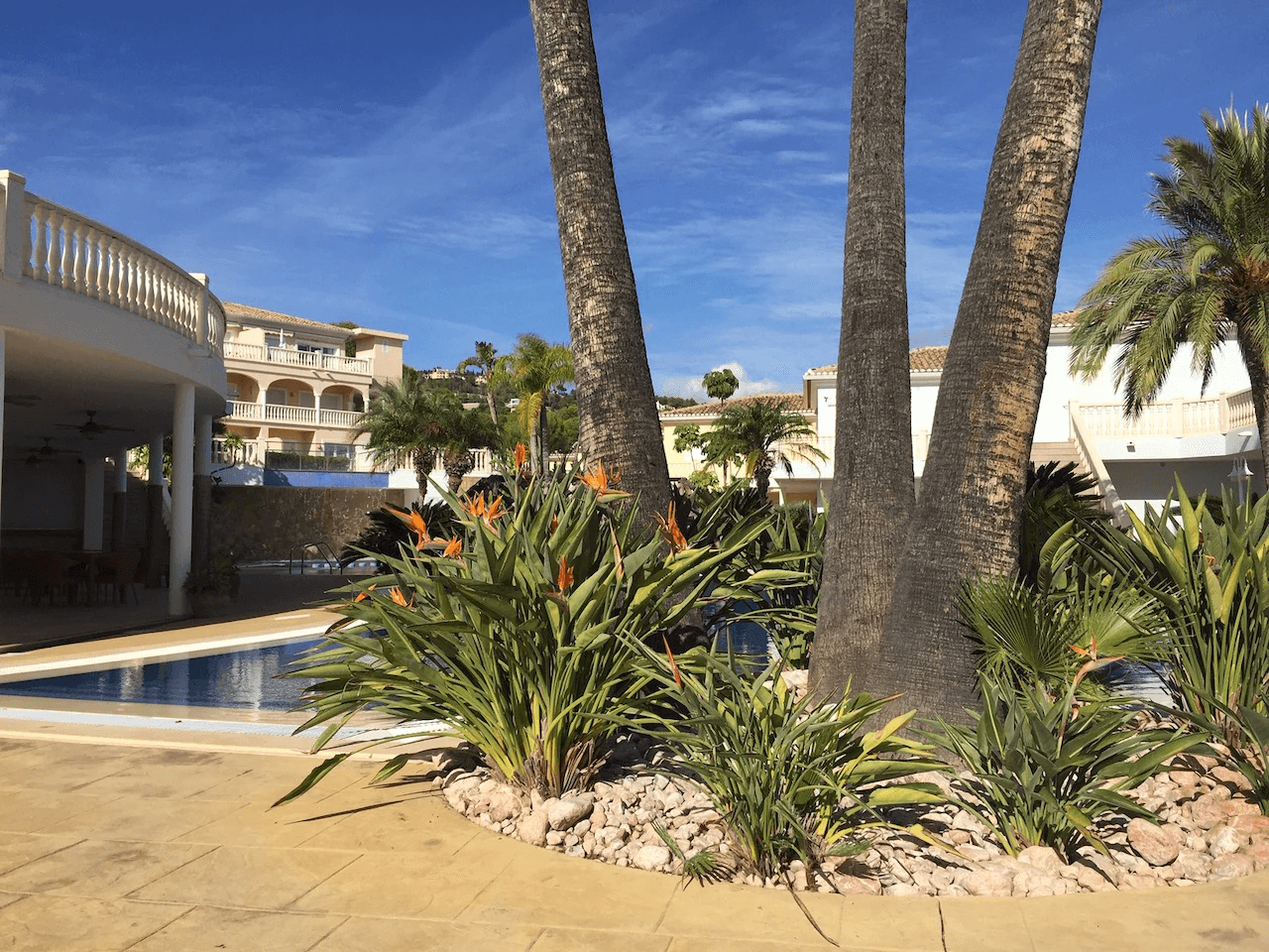 Apartments - Flats zum verkauf in Benissa