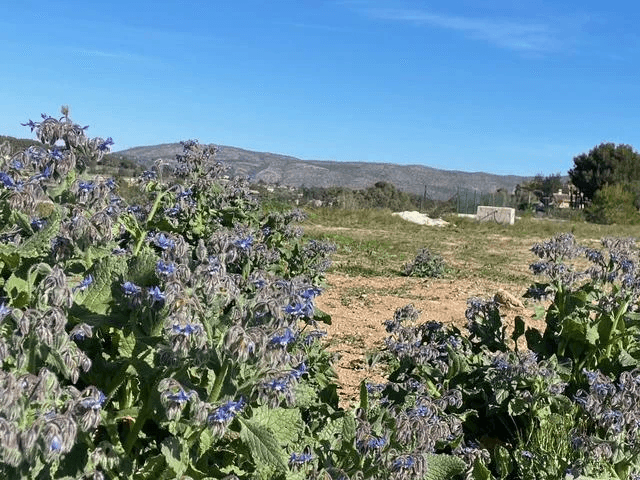Plots of Land en venta en Teulada