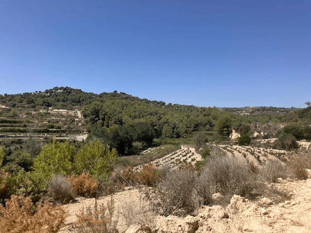 Plots of Land en venta en Teulada