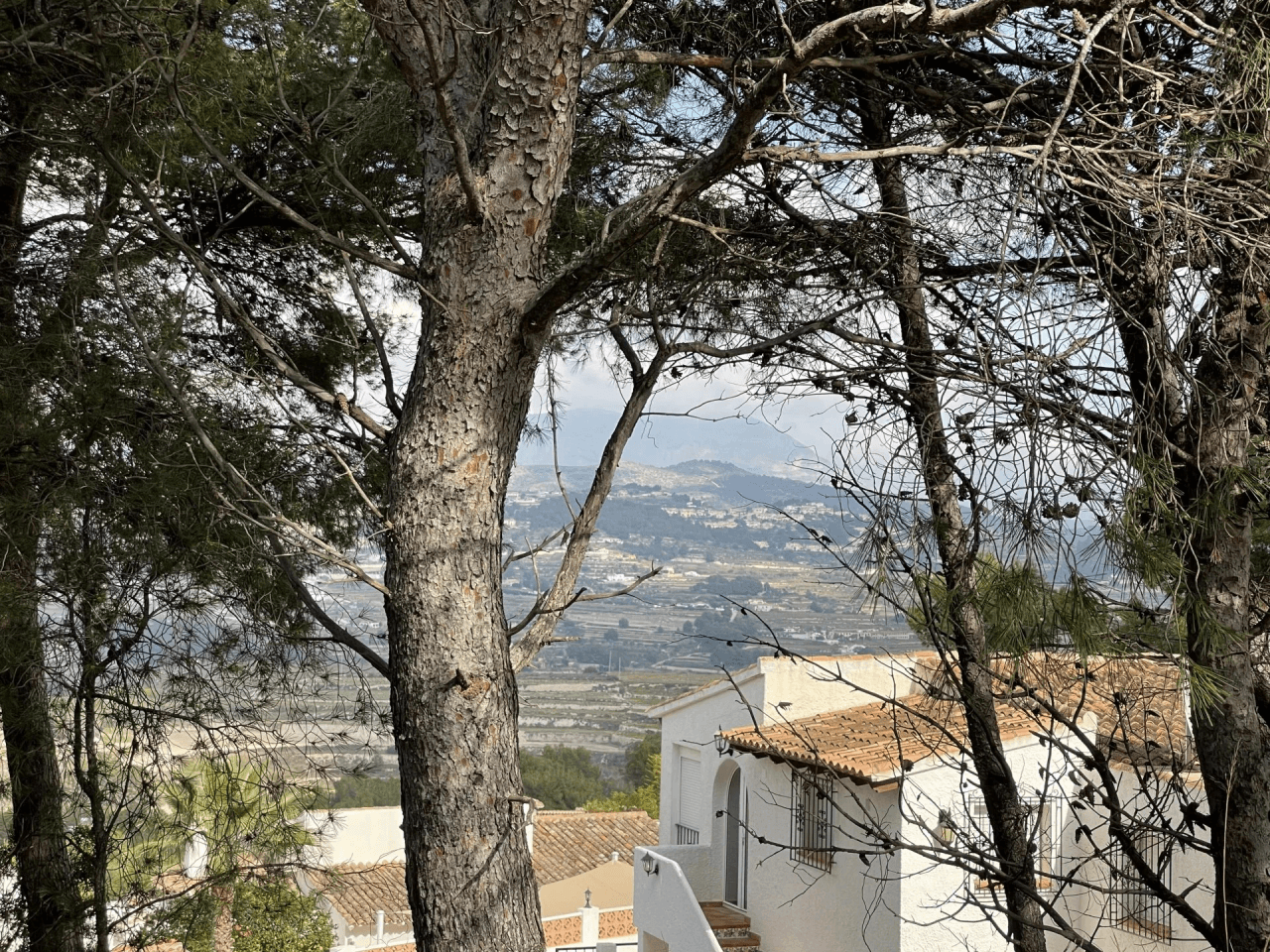 Land for sale in Teulada