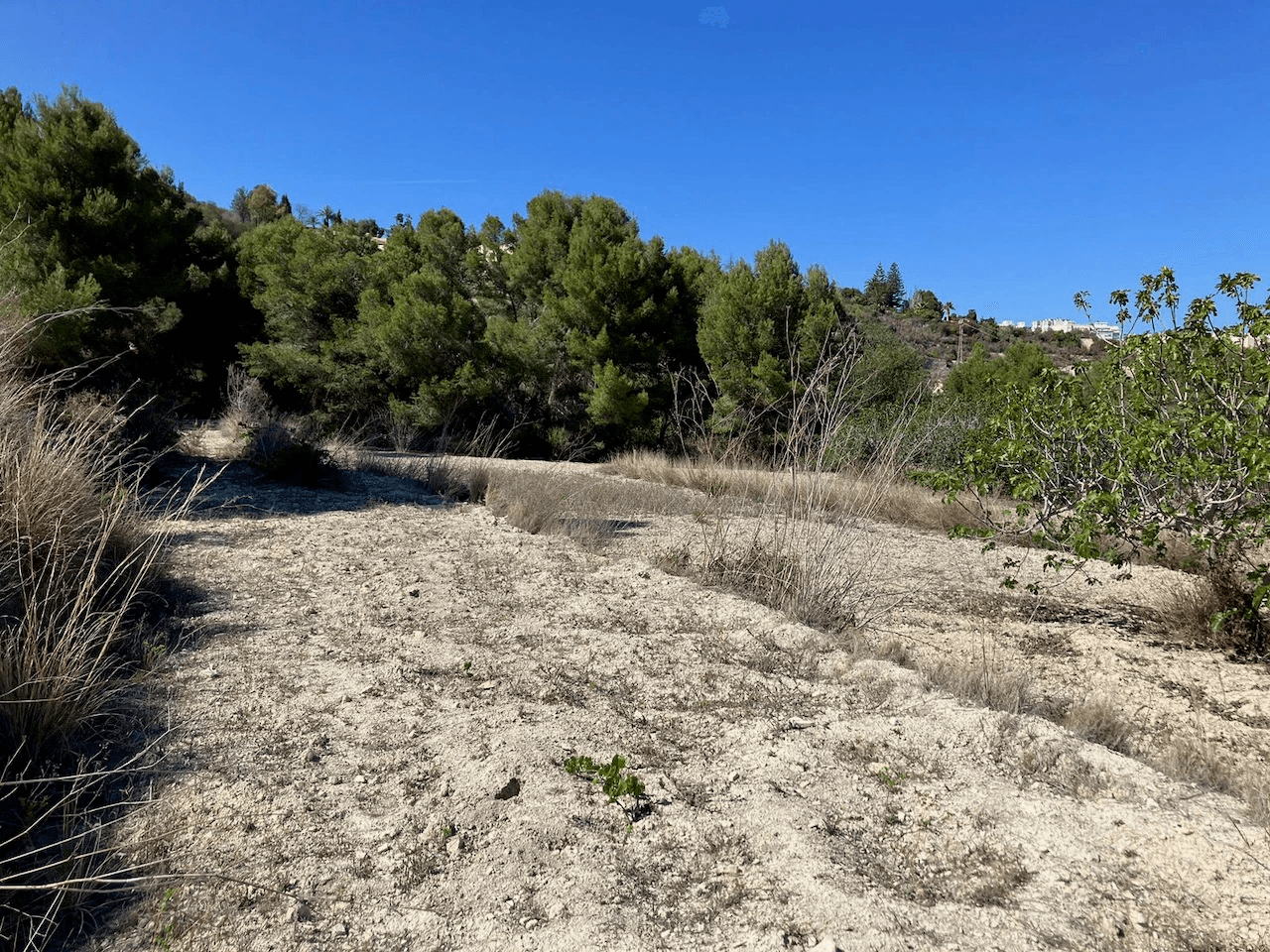 Plots of Land en venta en Benissa