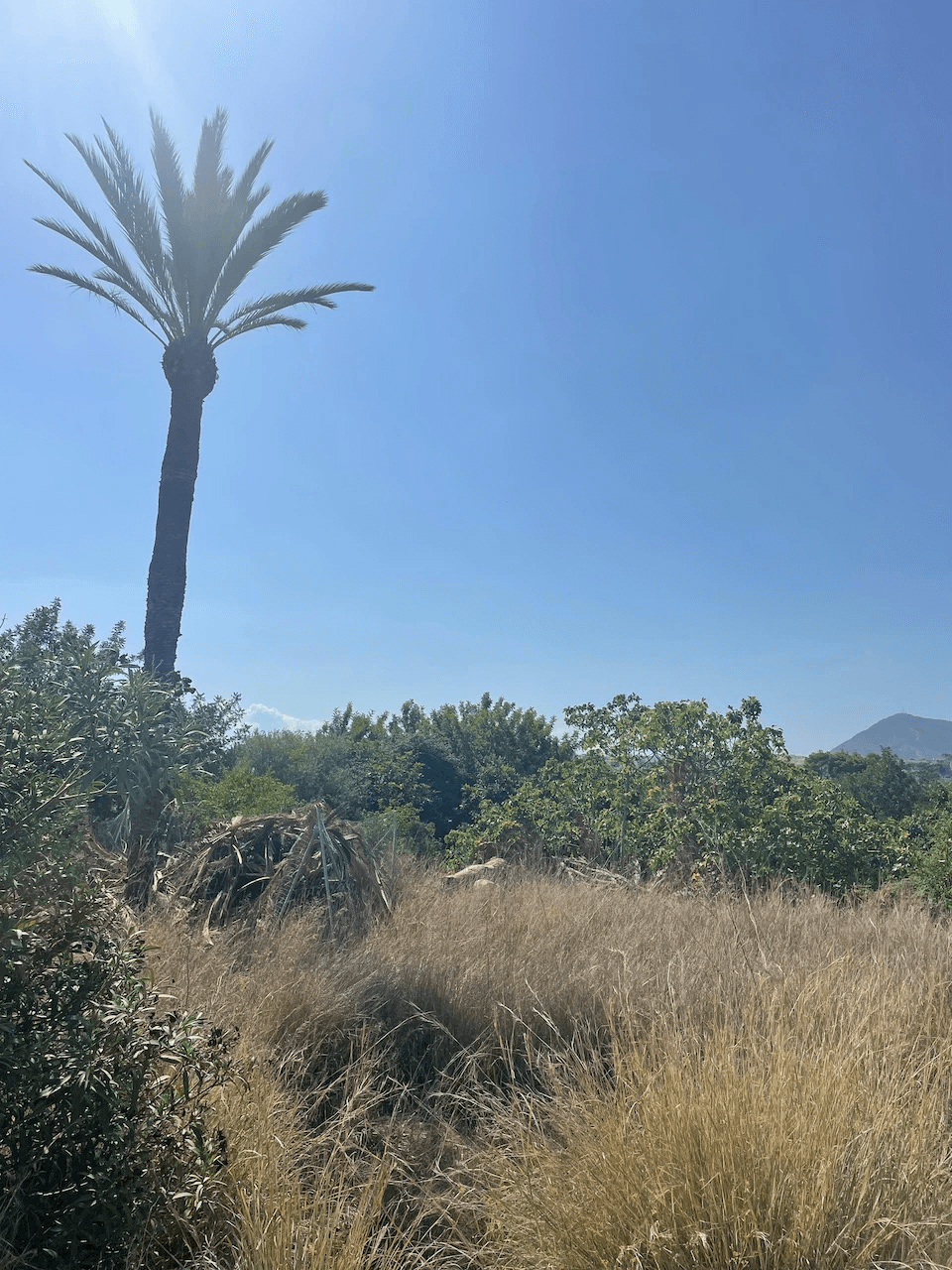 Plots of Land en venta en Altea