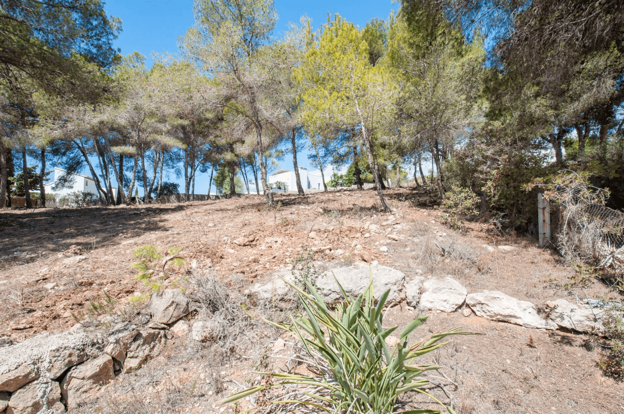 TERRAIN(S) AVEC VUE SUR LA MER À EL PORTET, MORAIRA