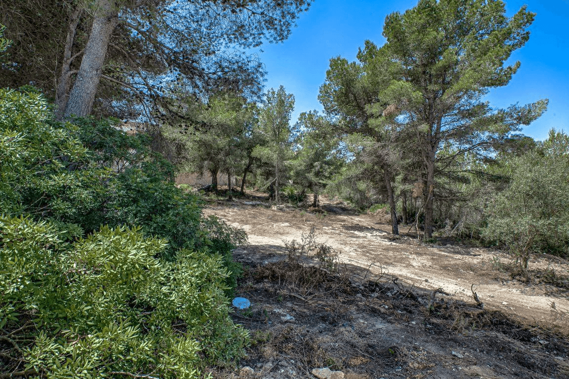 TERRAIN À BENIMEIT MORAIRA