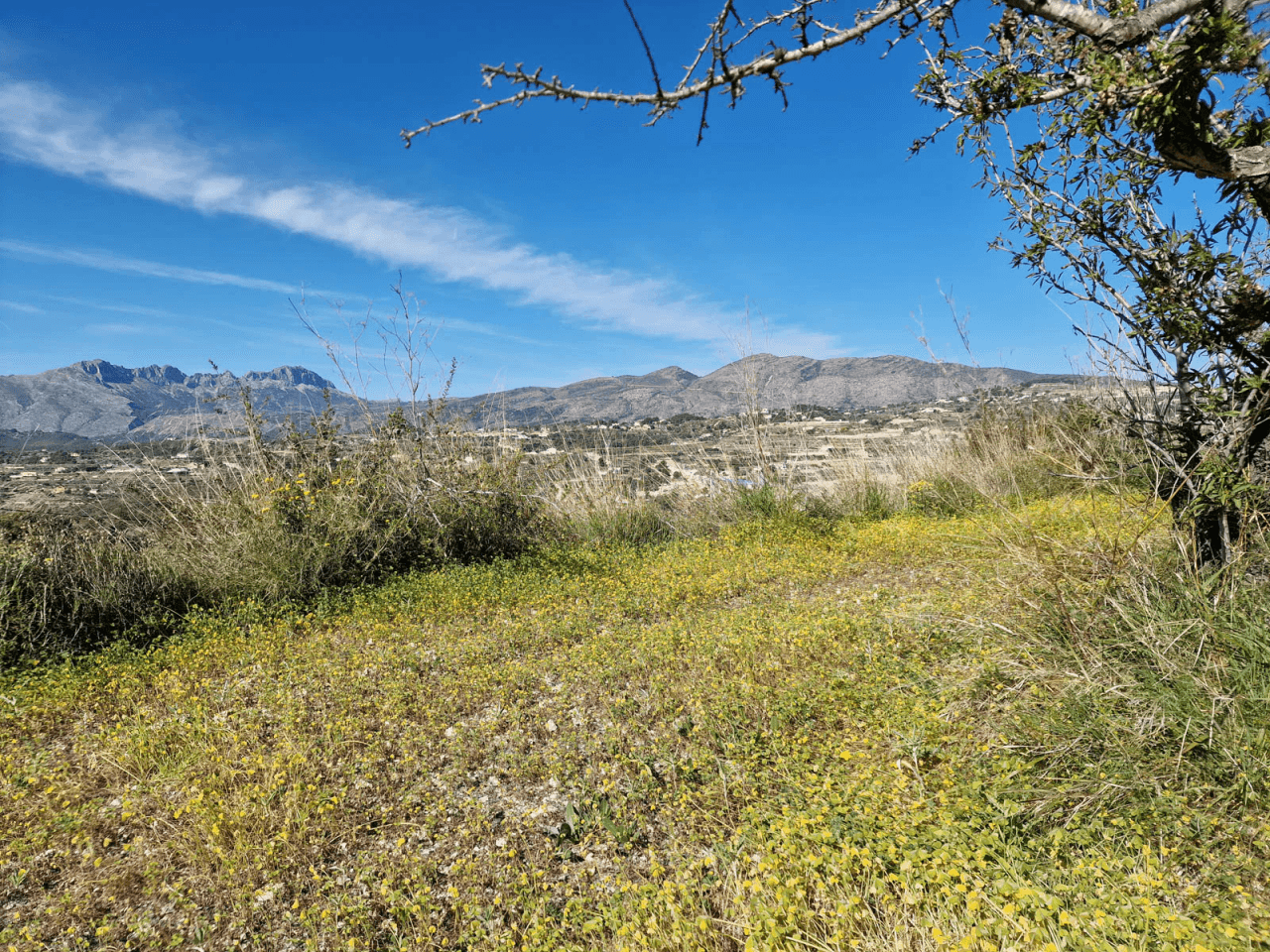 Plots of Land en venta en Benissa