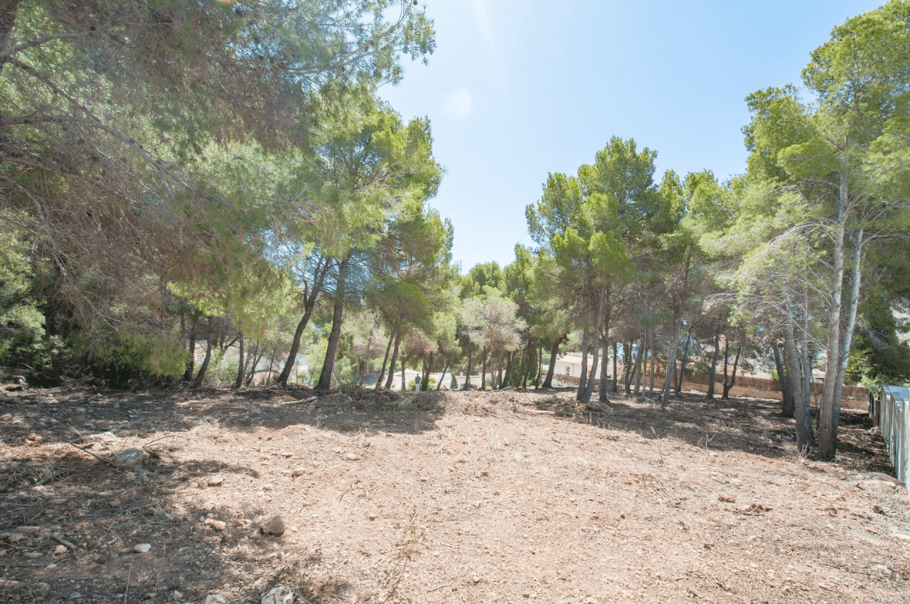 TERRAIN(S) AVEC VUE SUR LA MER À EL PORTET, MORAIRA