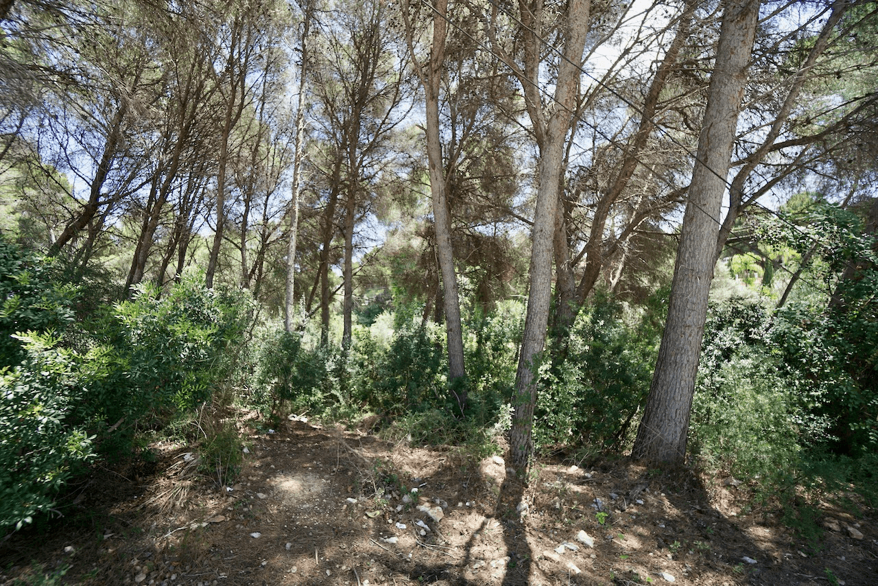 Plots of Land en venta en Moraira