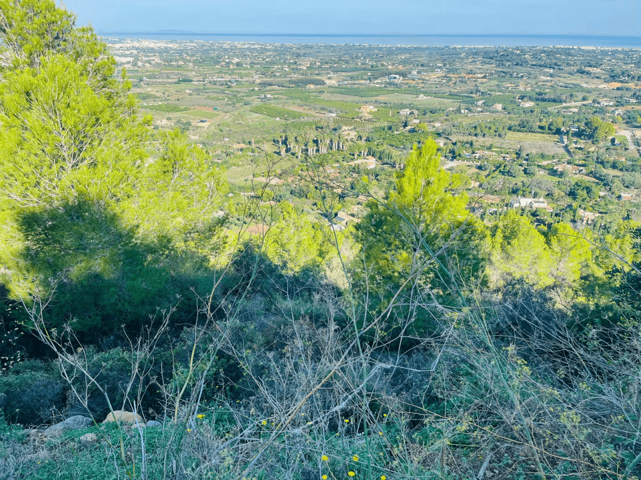 Plots of Land en venta en Pedreguer