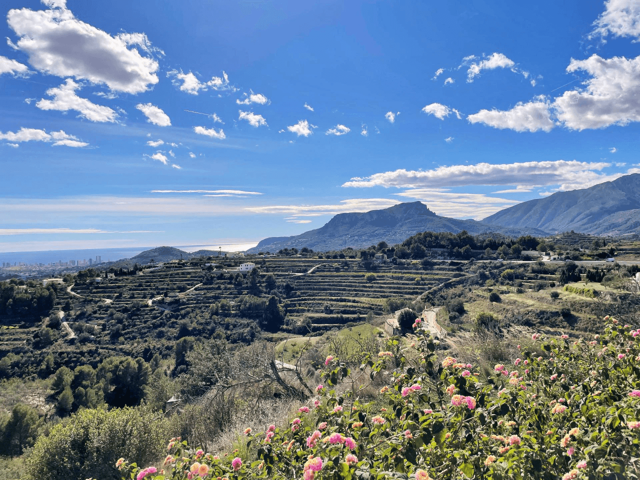 Country Houses - Fincas en venta en Benissa