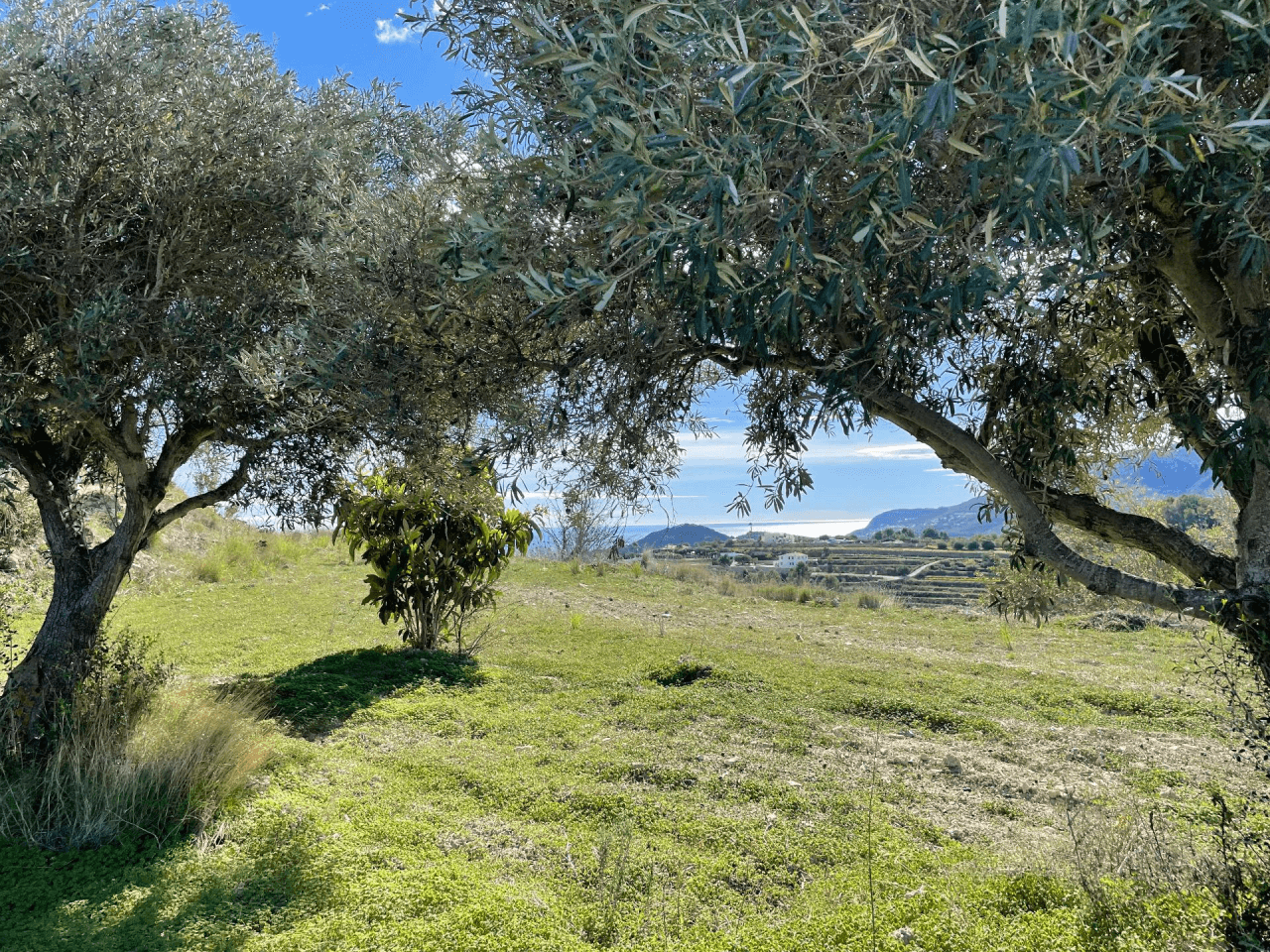 Country Houses - Fincas en venta en Benissa