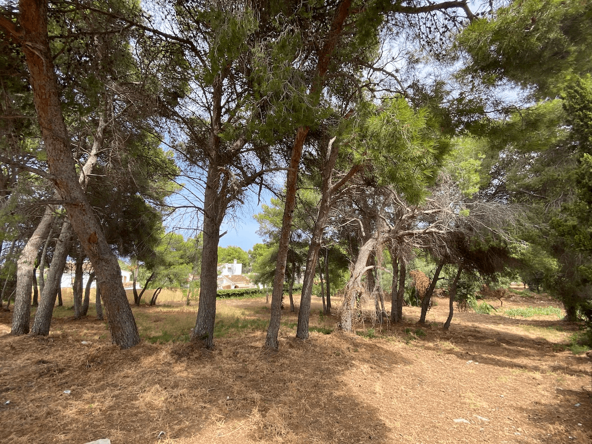 Plots of Land en venta en Javea