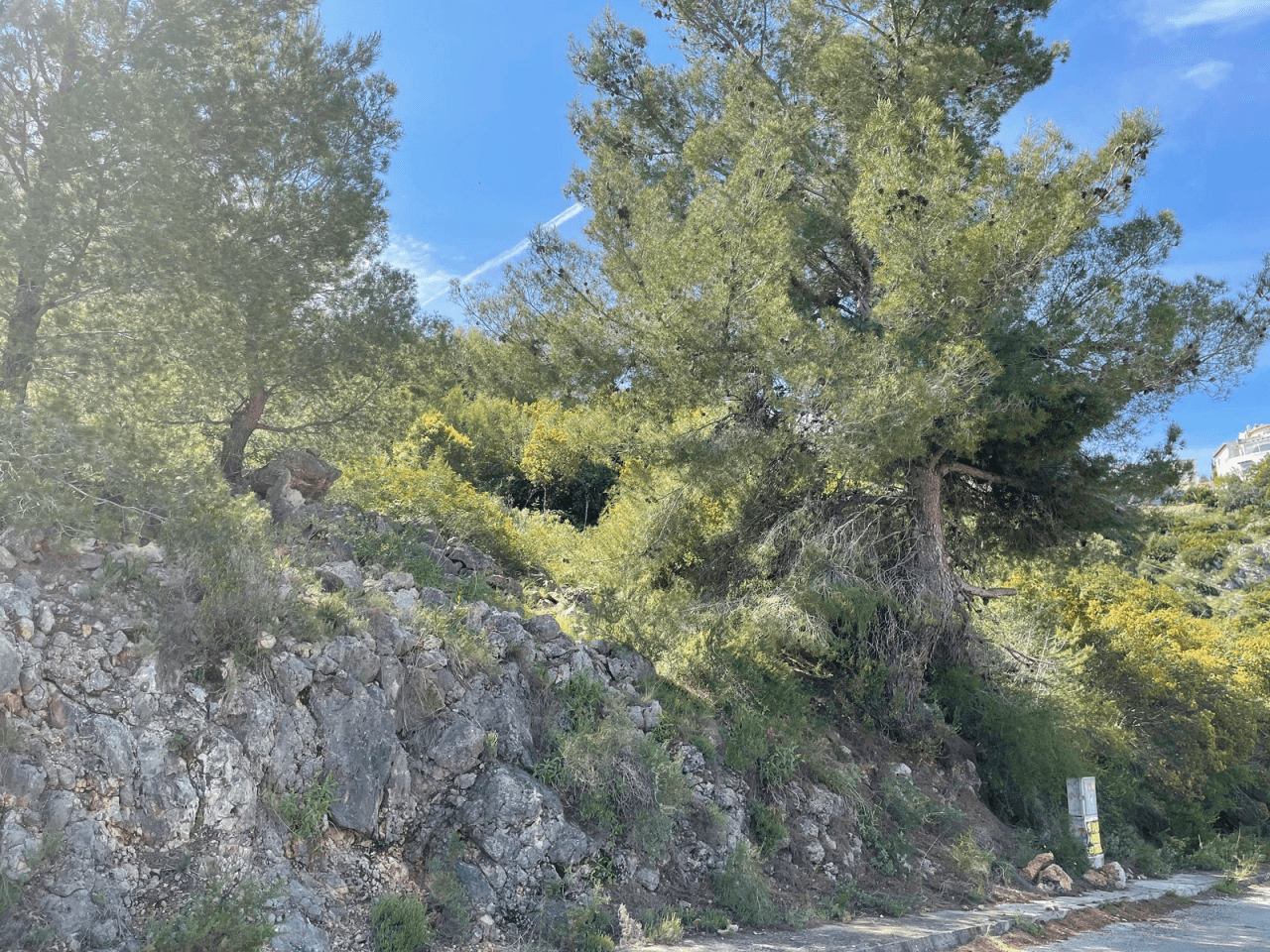 Grundstück mit Panorama Meerblick am Monte Pego