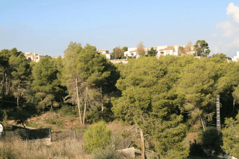 Grundstück in Javea