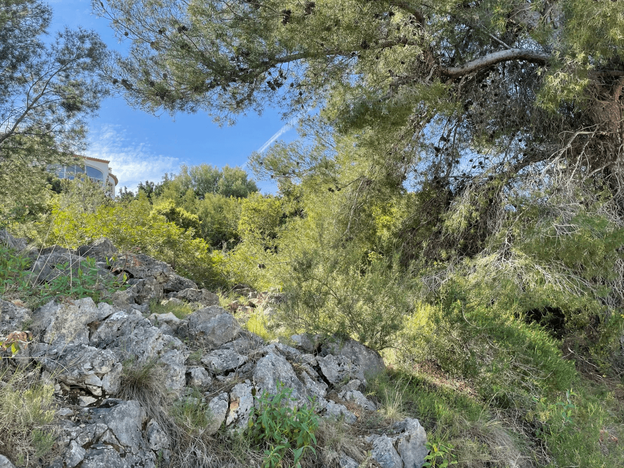 Grundstück mit Panorama Meerblick am Monte Pego