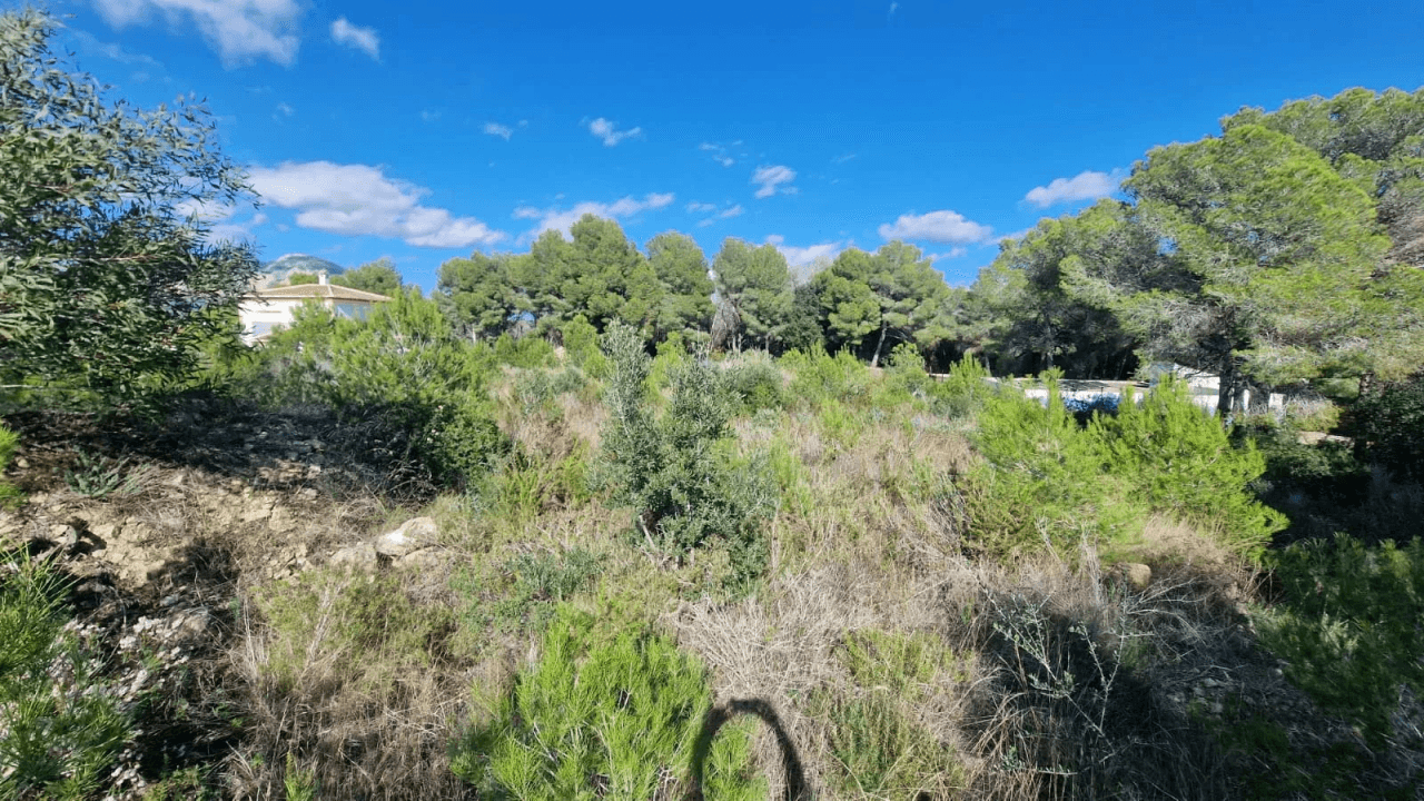 Land à la vente à Jávea