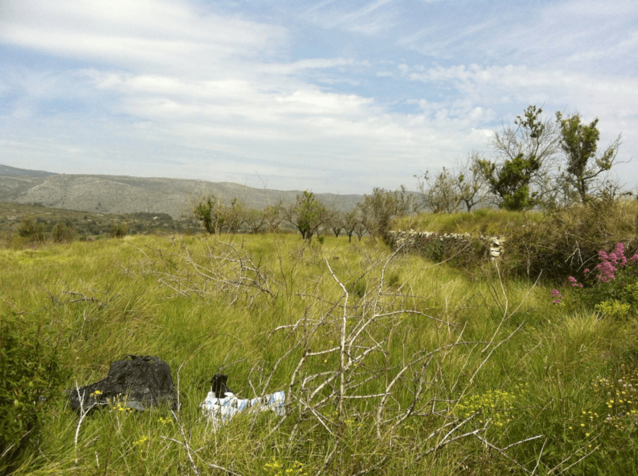 Terrain à la vente à Benissa