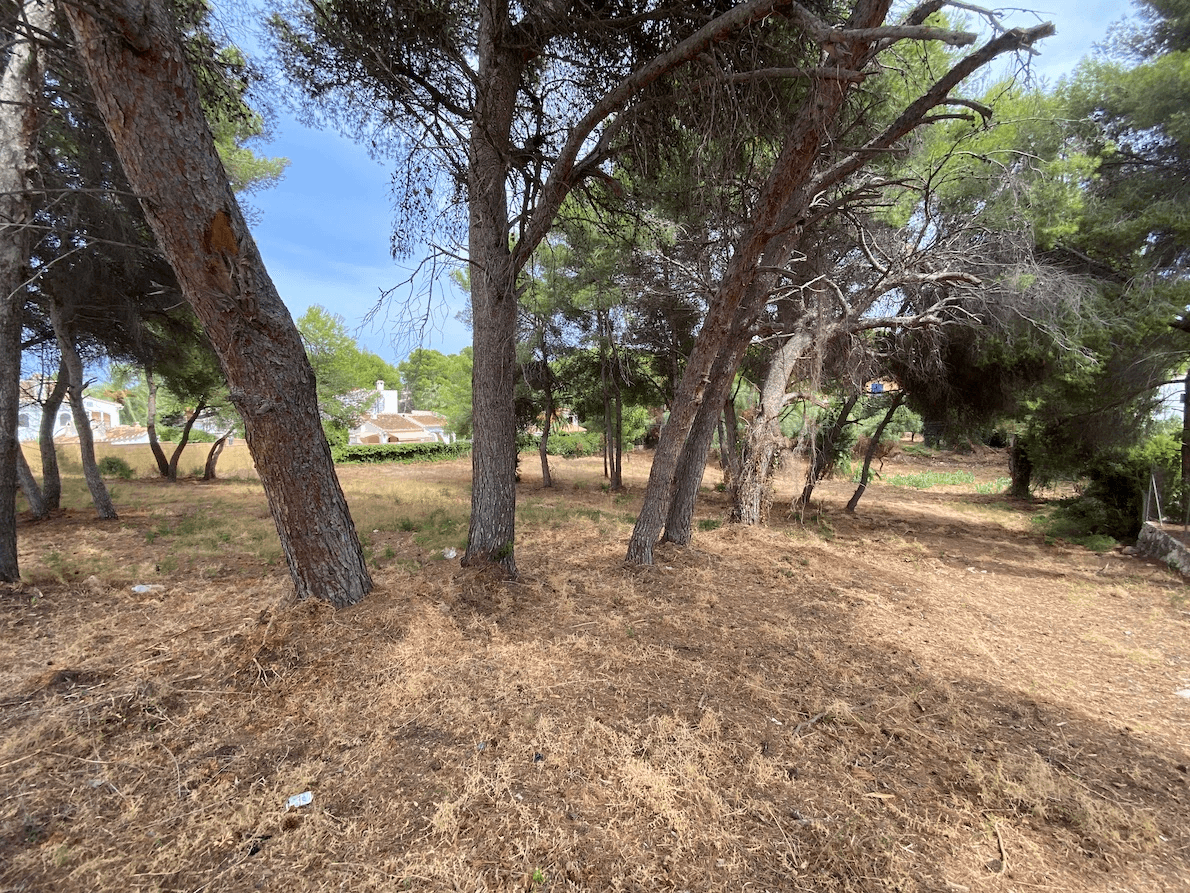 Terrain à la vente à Javea