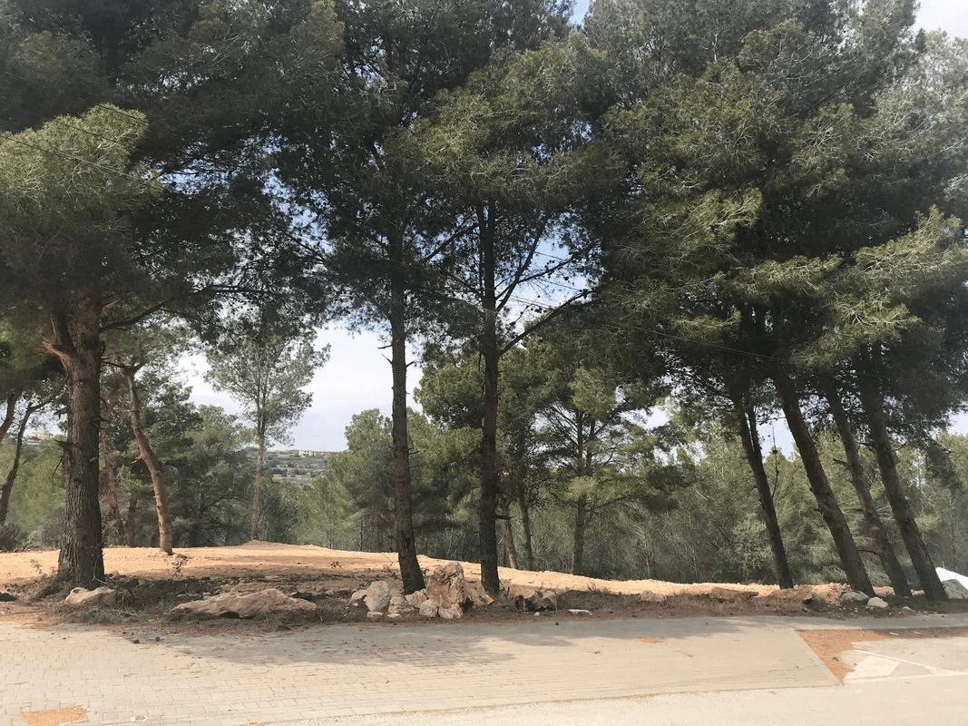 Vlak perceel te koop in Moraira