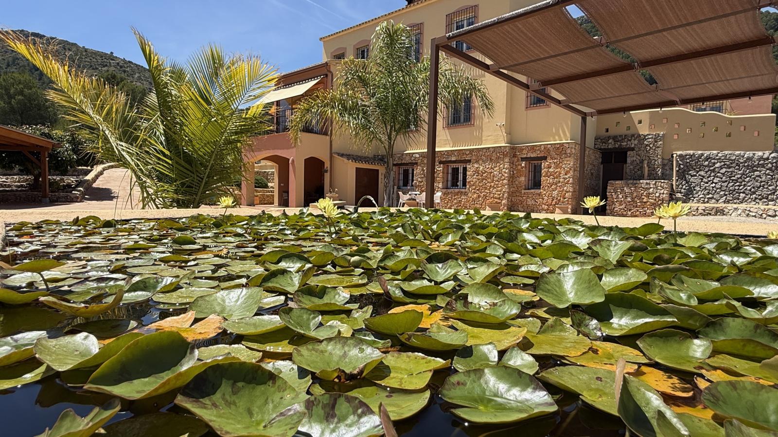 Un oasis de paz. Una propiedad de ensueño con un amplio terreno y total privacidad cerca de Denia, Oliva y Jávea.
